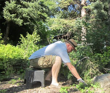 Joe weeding in garden, photo by Craig Johnson